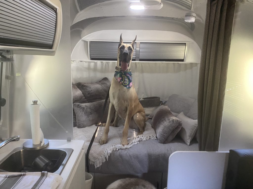 Airstream road trip to Amangiri