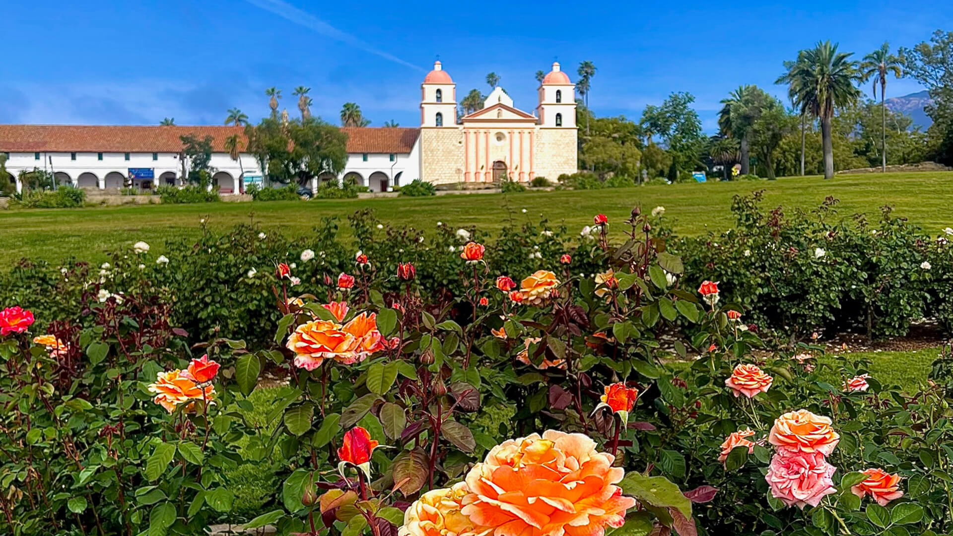 Santa Barbara Rose Garden